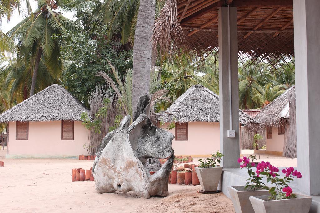 Cocodance Kitesurfing Resort 칼피티야 외부 사진